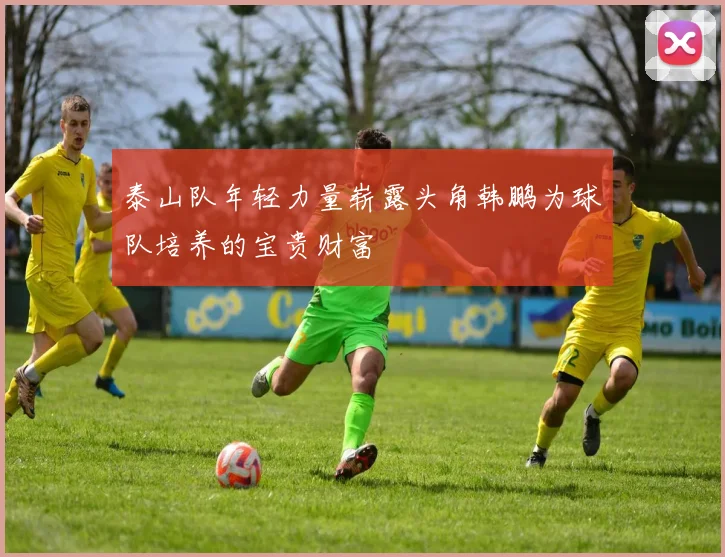 泰山队年轻力量崭露头角韩鹏为球队培养的宝贵财富